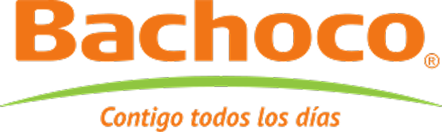 BACHOCO 1